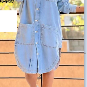 Ladies Casual Denim Dress